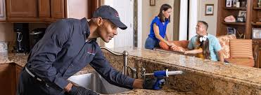 Best Commercial Pest Control  in Three Rivers, MI